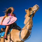 alisonsadventures profile picture