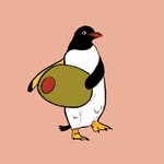 alissa.levy profile picture