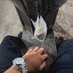 ali_syaputra432 profile picture