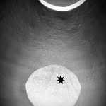 alix_laveau profile picture