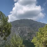 alizaa_clicks profile picture