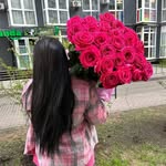 alka.lyna profile picture