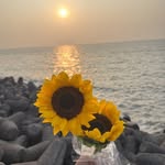 alkawalia_23 profile picture