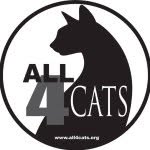 all4catsrescueadoptions profile picture