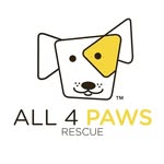 all4pawsrescue profile picture