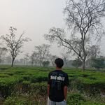alla_boutritik18 profile picture