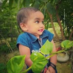 allahabadi_photo_hub profile picture