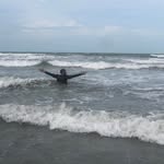 allan_ibiapina profile picture