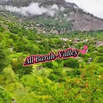 allbarahvalley804 profile picture