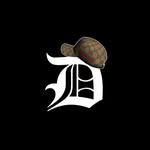 alledrerries profile picture