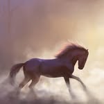 allentia.art profile picture