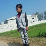allenwarmota profile picture