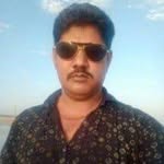 alligator.9349656 profile picture