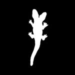 alligatorjesus profile picture