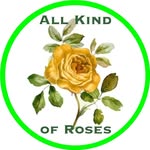 allkindofroses profile picture