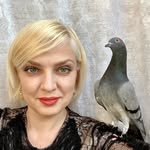 allmyrescuedbirds profile picture
