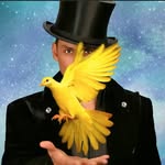 allstarsofmagic profile picture