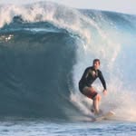 allsurfnowork profile picture