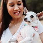 allthefosterpups profile picture