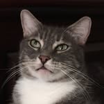 allthingsgeorge profile picture