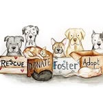 allthingsrescue profile picture