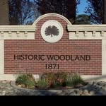 allthingswoodlandca profile picture