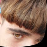 almani2008_a profile picture