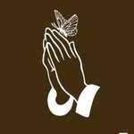 almighty.brands profile picture
