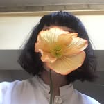 alohabshaw profile picture