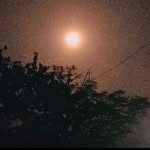 alone745495 profile picture