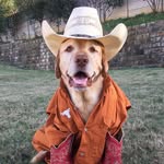 alongcamemajor profile picture