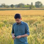 along_maisam profile picture