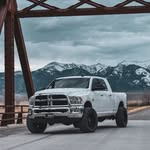 alpha.omega_cab profile picture