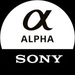 alphabysony_latin profile picture