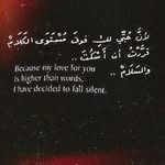 alsahir1442 profile picture