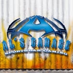 alsgaragelv profile picture