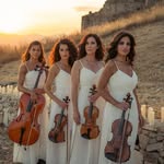 alterecho_stringquartet profile picture