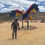 alv4r profile picture