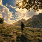 alvi_graphy profile picture