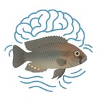 alwardlabucla profile picture