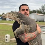 alwaysevolvingpythons profile picture