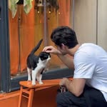 alxenioz profile picture