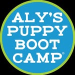 alyspuppybootcamp profile picture