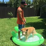 am1tyville profile picture