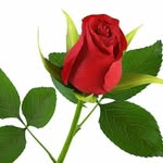 am219942 profile picture