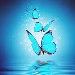 am______tiji_________ profile picture