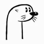 amadafoca profile picture