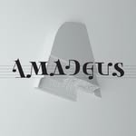 amadeussahnede profile picture