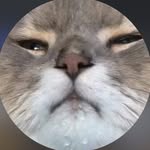 amandaaym_ profile picture