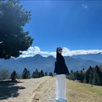 amandacxy99 profile picture